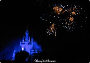 Fireworks viewing at Tomorrowland Terrace