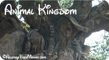 Dining with a food allergy at Animal Kingdom restaurants