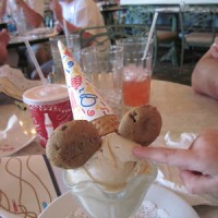 Dairy free dessert at The Plaza in the Magic Kingdom