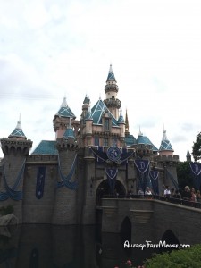 Disneyland Sleeping Beauty's Castle