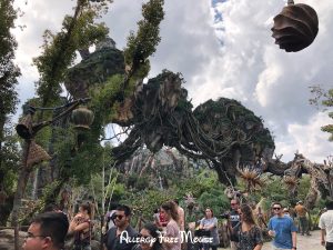 Pandora at Animal Kingdom